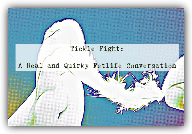 TICKLE FIGHT: A Real & Quirky Fetlife Conversation