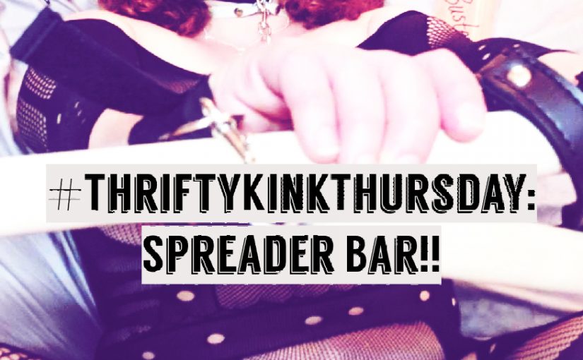 #ThriftyKinkThursday:  Spreader Bar!