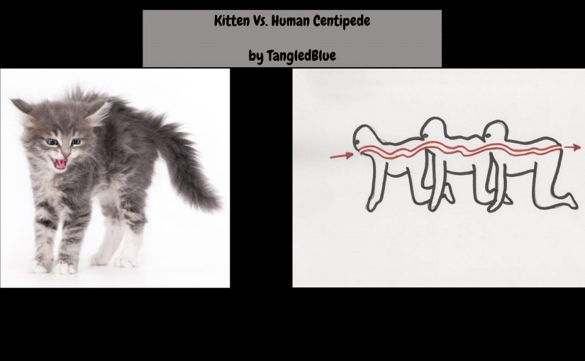 Kitten vs. The Human Centipede: Write for YourKinkyFriends!