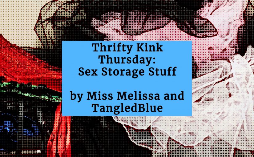 Thrifty Kink Thursday: Sex Stuff Storage